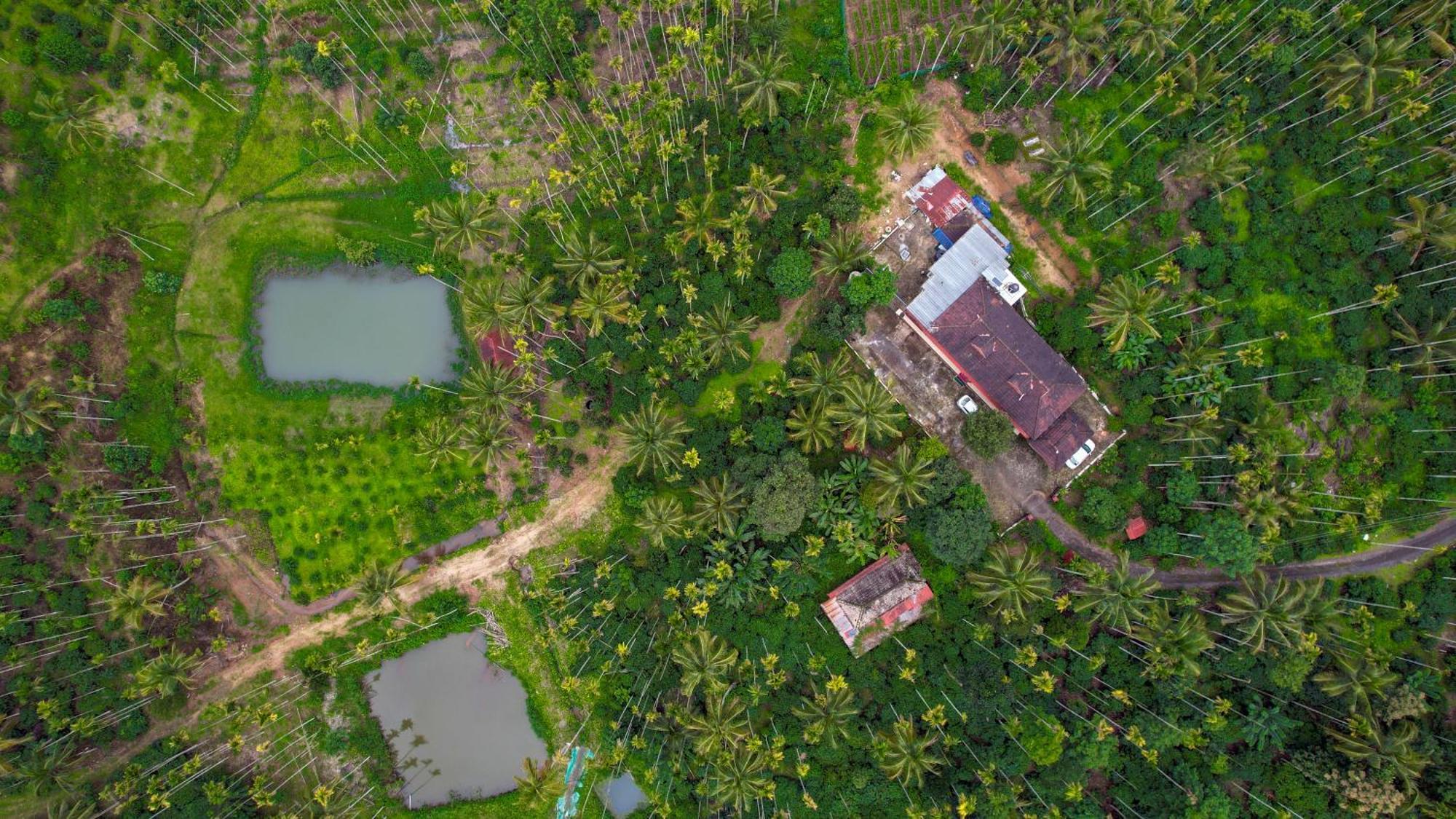 Appartamento Wayanad Palm Grove Retreat G Floor Sultan Bathery Esterno foto