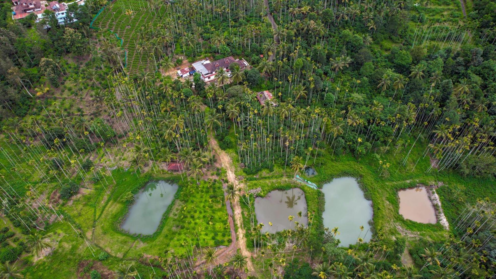 Appartamento Wayanad Palm Grove Retreat G Floor Sultan Bathery Esterno foto