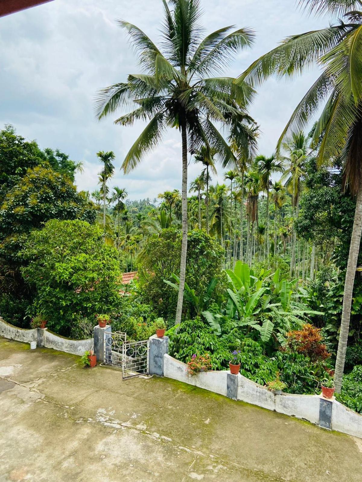 Appartamento Wayanad Palm Grove Retreat G Floor Sultan Bathery Esterno foto